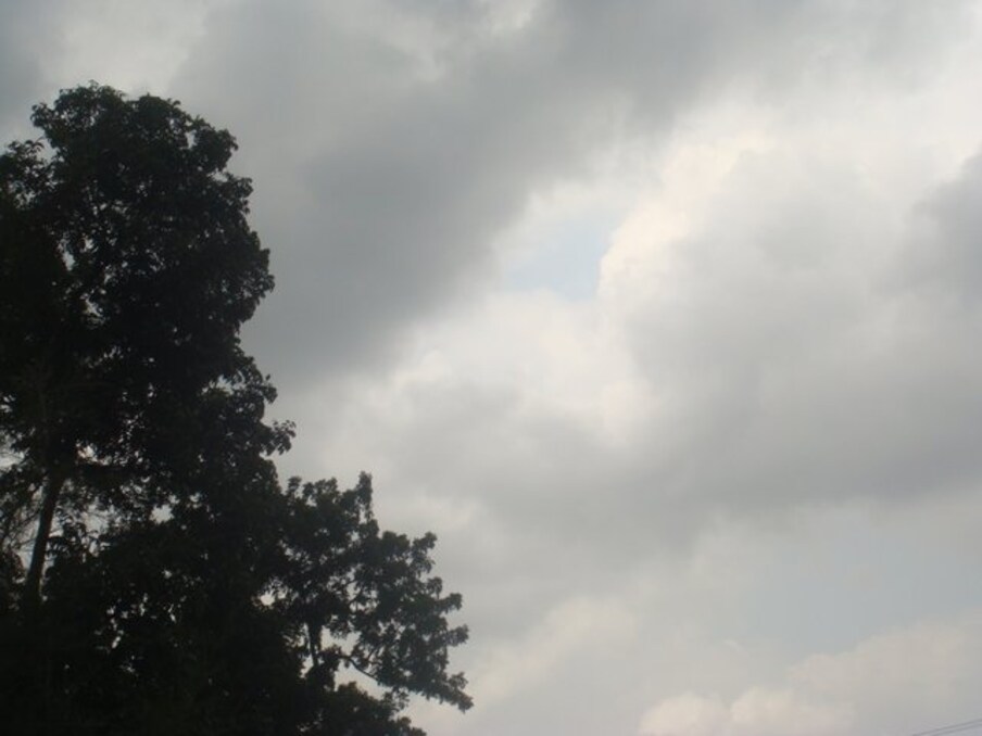 कोल्हापुरातील दिवसभर ऊन आणि संध्याकाळच्या वेळी अंशतः ढगाळ वातावरण पाहायला मिळत असल्यामुळे वातावरणात थोडा उकाडा जाणवत आहे.