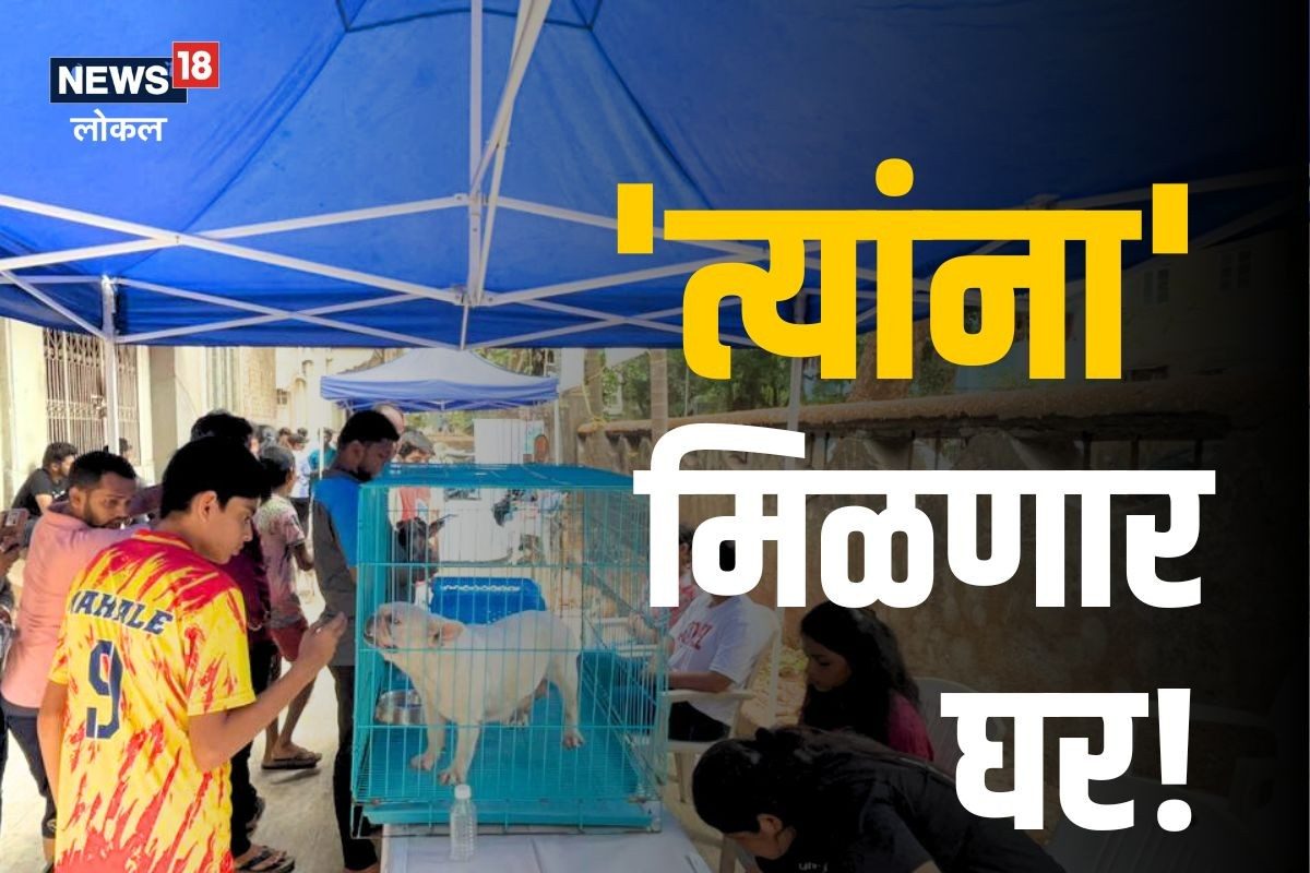 मुंबईकरांनो, तुमचा पाळीव कुत्रा पाळण्यास होतेय अडचण? या कार्यक्रमाबद्दल नक्की जाणून घ्या, Video