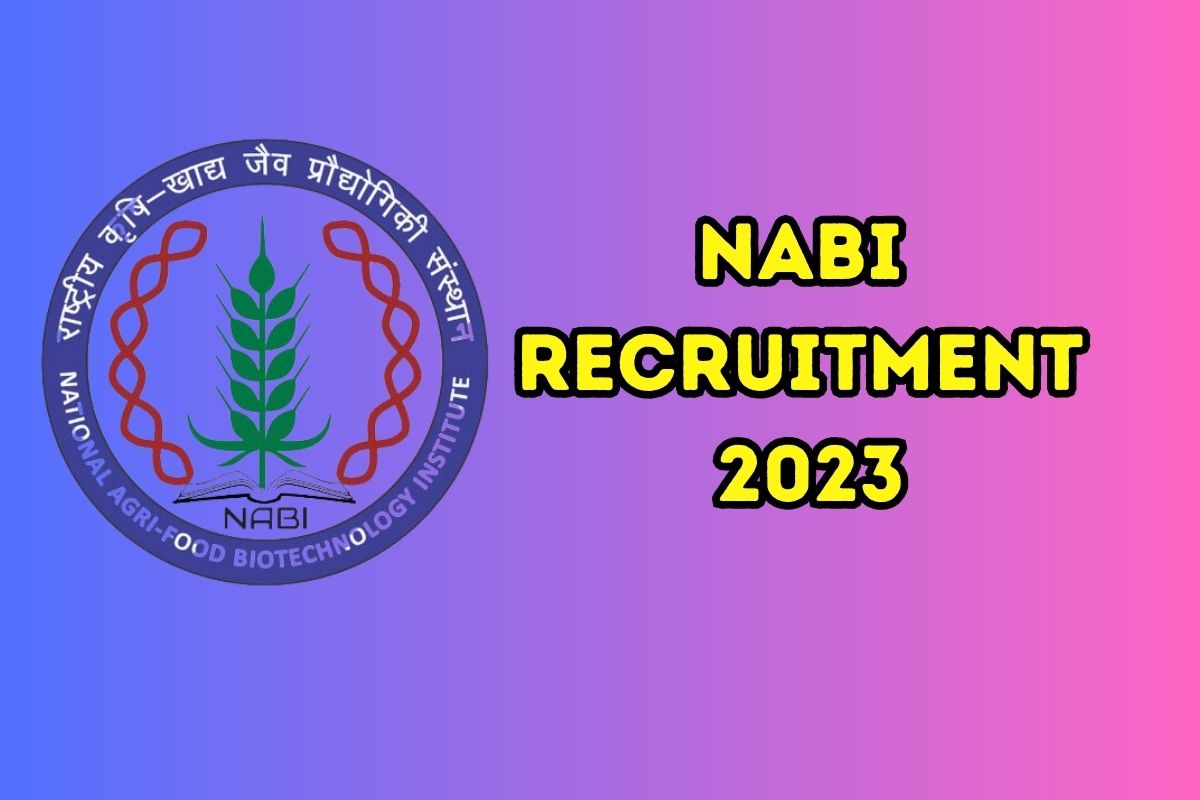 महिन्याचा तब्बल 47,000 रुपये पगार अन् सरकारी नोकरी; NABI मध्ये जॉबची संधी सोडूच नका; करा अर्ज