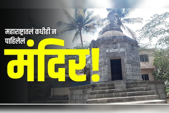 मंदिराच्या कळसावर बसलाय शेषनाग, मंदिरात 9 नागाची कुळं, काय आहे रहस्य?