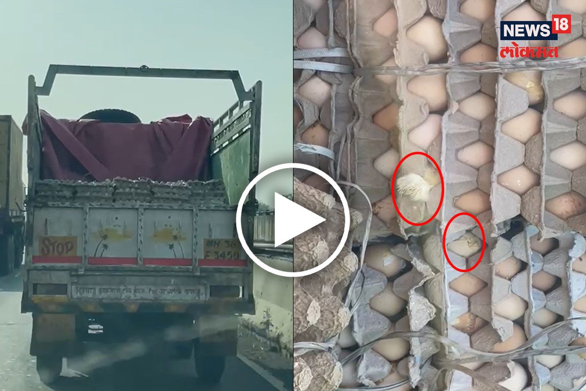 उकाड्यानं चालत्या गाडीत अंडी उबली