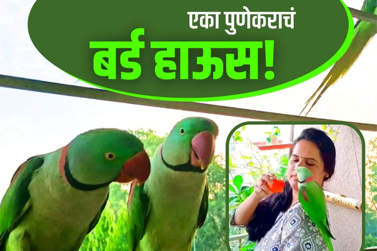 पुणेकरांचं मन मोठं, रोज घरी येतात 100 पेक्षा जास्त 'पाहुणे', VIDEO पाहून तुम्हीही कराल कौतुक