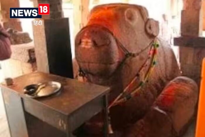 या मंदिरात बसवलेल्या दगडी नंदीच्या मूर्तीचा आकार सातत्याने वाढत असल्याचा दावा केला जातो. दगडात जीव असू शकतो का? दरवर्षी या नंदीचा आकार वाढत जातो. पूर्वी तो लहान आकाराचा होता पण आता तो जवळपास मंदिराच्या प्रांगणाएवढा झाला आहे, असं स्थानिक लोकांचे म्हणणे आहे. 