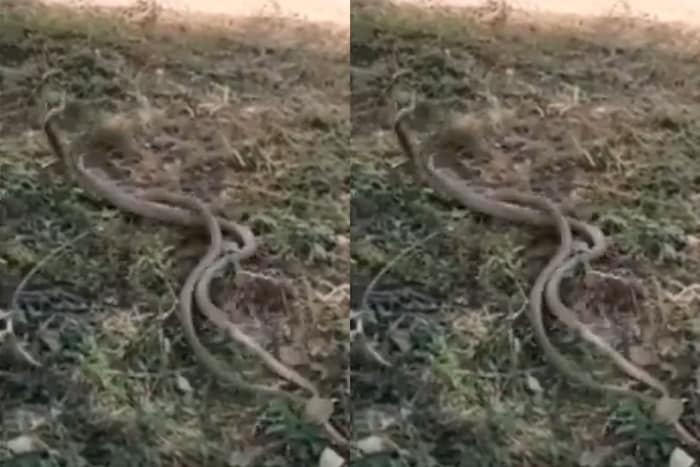 शेवटी खूप प्रयत्नानंतर असदने त्यांना वेगळं केलं आणि दूर घेऊन गेला. 