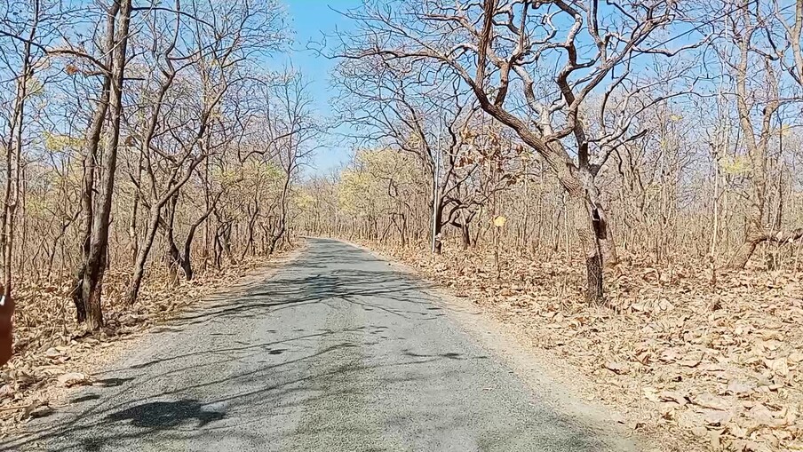छत्री घेऊन किंवा दुपट्टा बांधून आणि टोपी घालूनच घराबाहेर पडावे.
