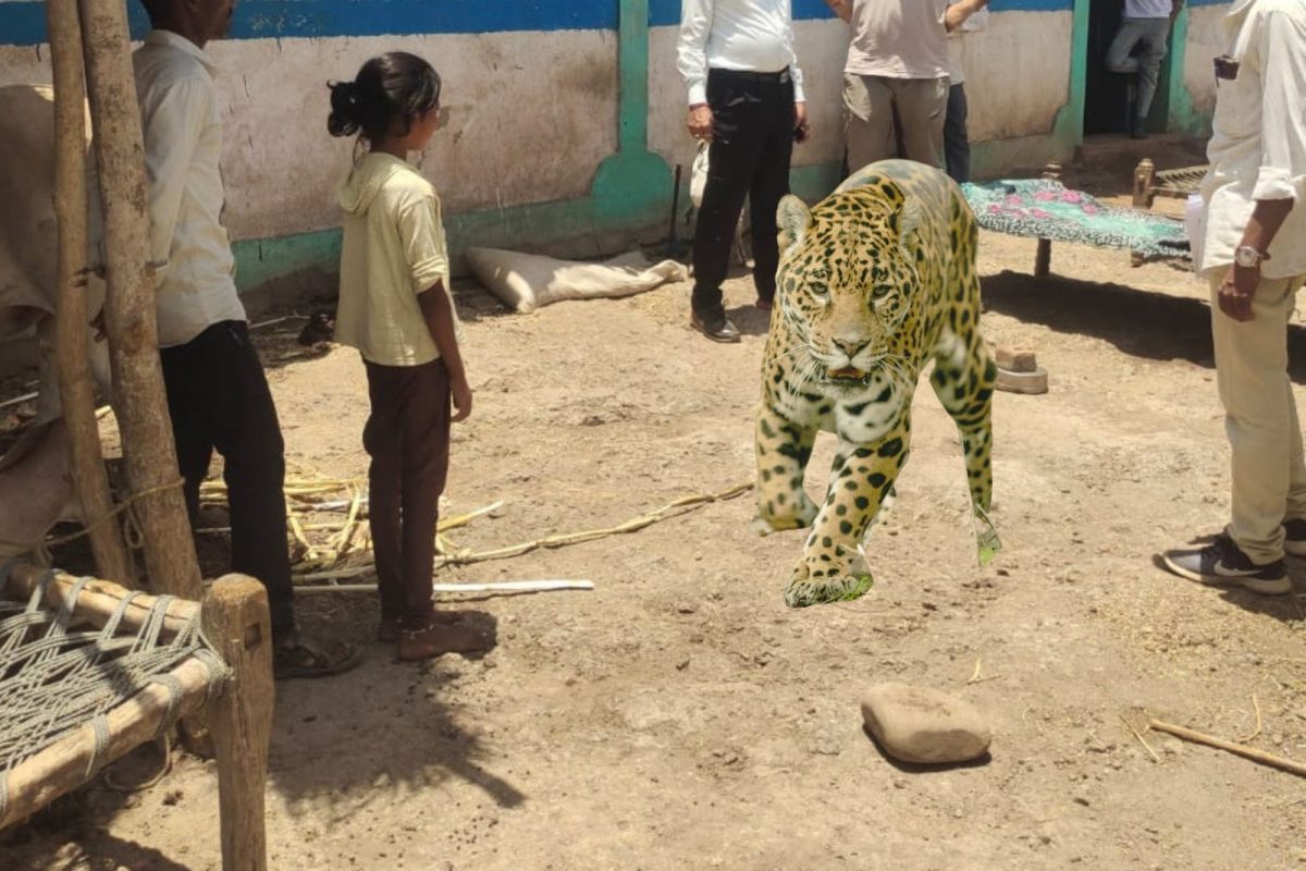 नातीने आजीला बिबट्यापासून वाचवलं.