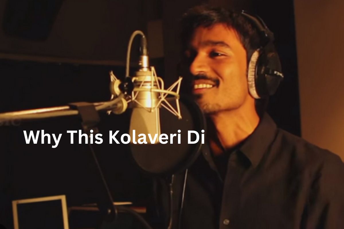 'व्हाय दिस कोलावेरी डी' गाण्याचा अर्थ