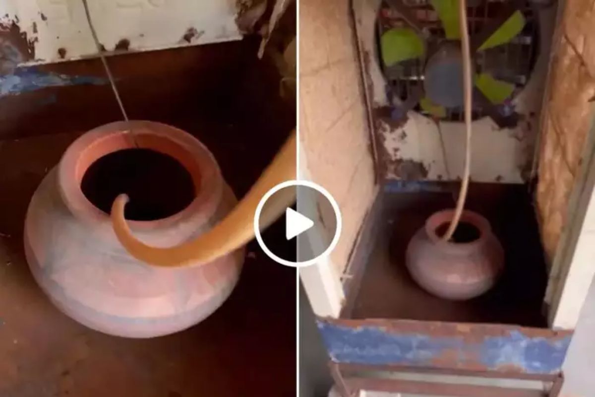 Desi Jugaad : 10 रुपयात AC सारखी हवा? पठ्ठ्याचा जुगाड पाहून म्हणाले, पहिल्यांदा पाहिला असा जुगाड!