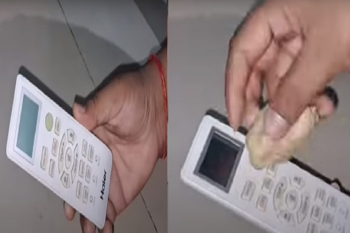 फोटो सौजन्य - युट्यूब व्हिडीओ स्क्रिनशॉट