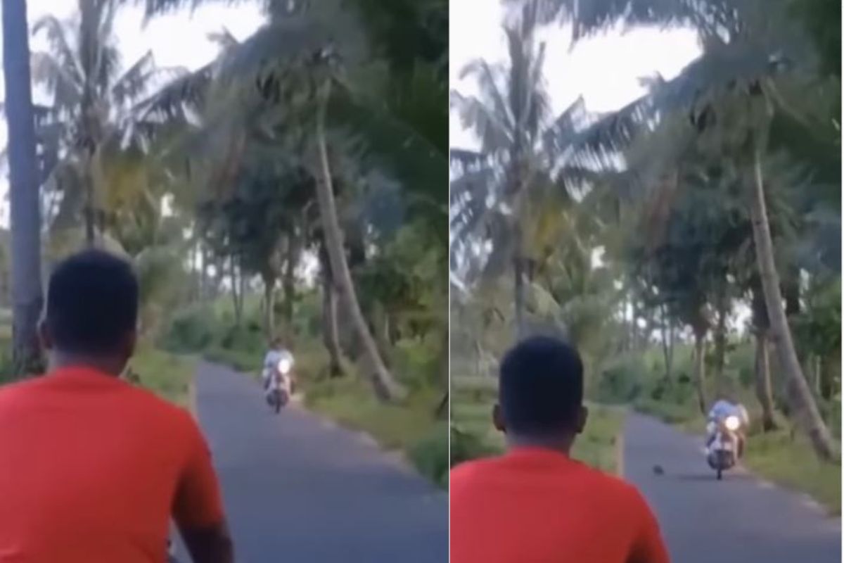 दुचाकीस्वाराच्या डोक्यावर पडला झाडावरील नारळ