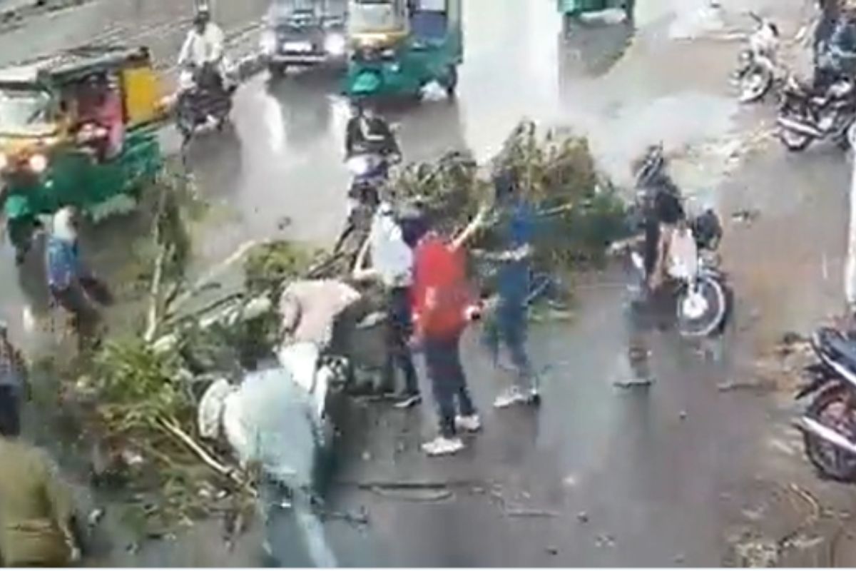 स्कूटीवर झाडाची फांदी कोसळून तिघे जखमी