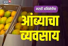 मराठी मालिकेत काम करणाऱ्या अभिनेत्रीने सुरू केला आंबे विक्रीचा व्यवसाय, हे आहे कारण