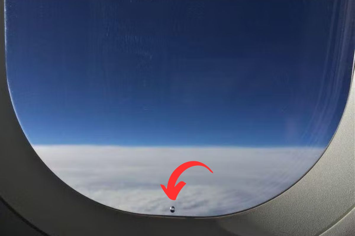 सोर्स : गुगल