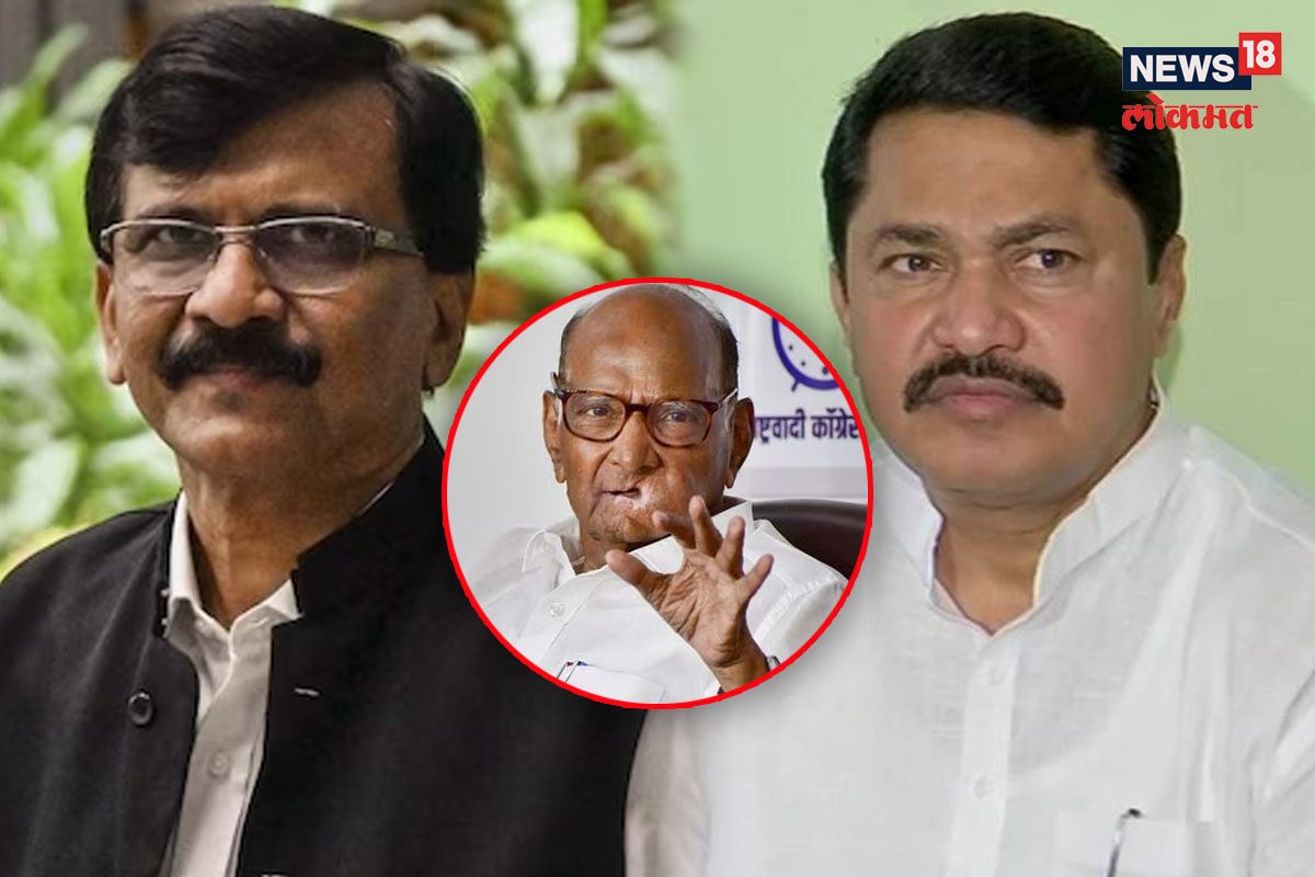 राष्ट्रवादीच्या आमदाराचा पटोले, राऊतांना इशारा