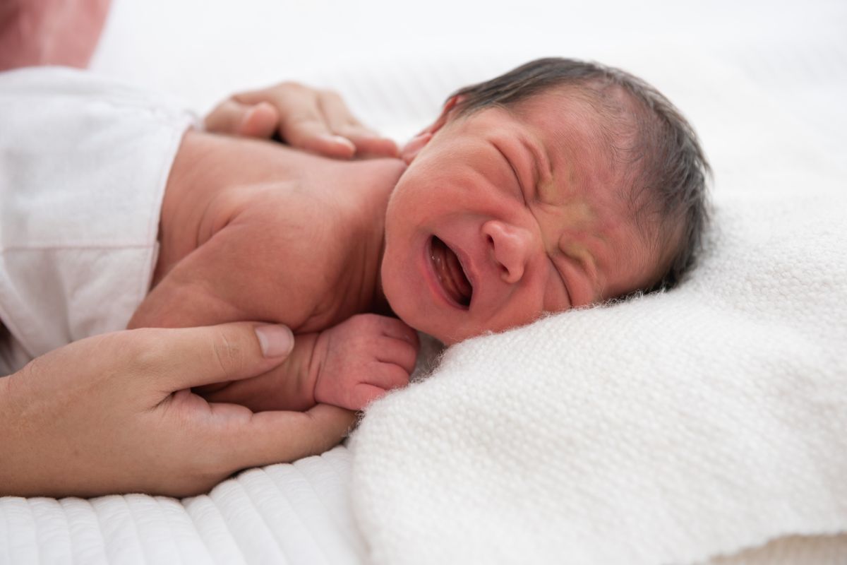 प्रतिकात्मक फोटो