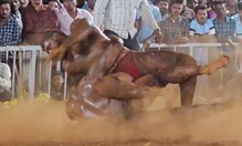 पंचांच्या निर्णयावर नाराज, पैलवान बाला रफिकने अर्ध्यातच सोडलं मैदान