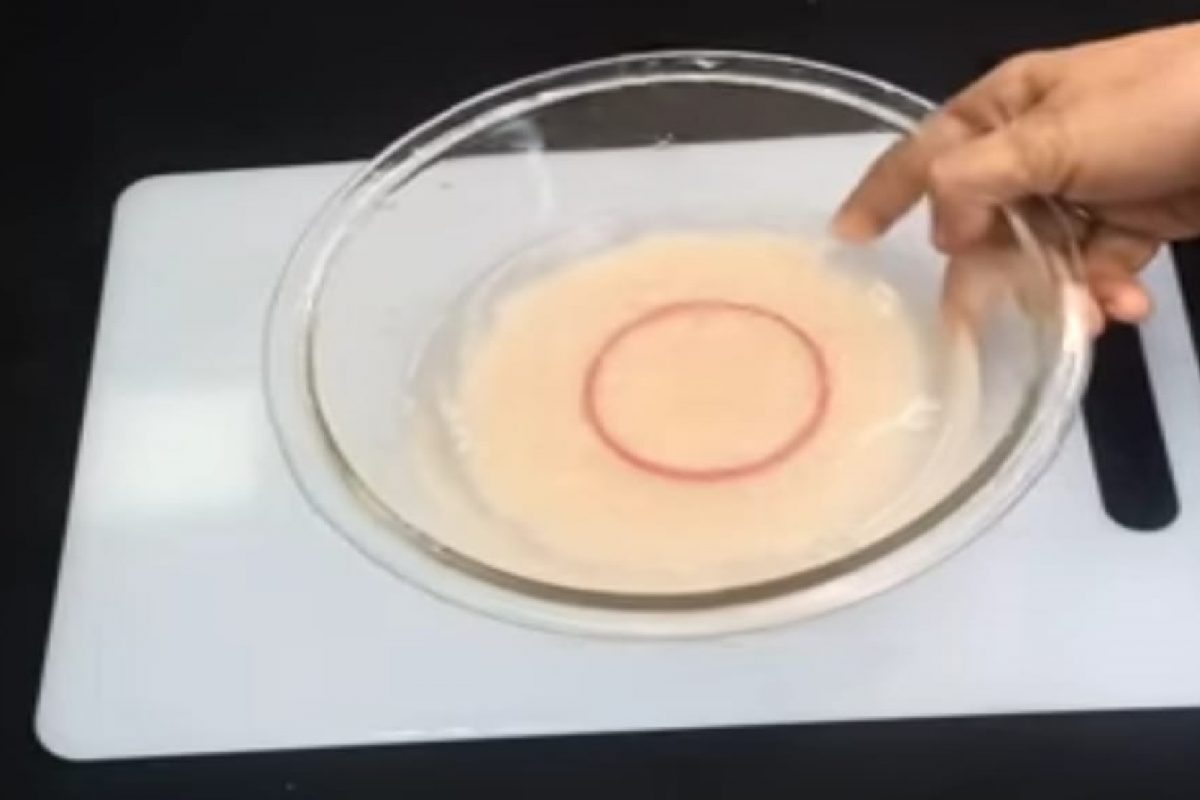 फोटो - युट्युब व्हिडीओ ग्रॅब