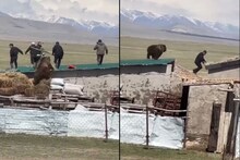 मानवी वस्तीत शिरलं अस्वल; छतावर चढून लोकांच्या मागे धावलं अन्..Shocking Video