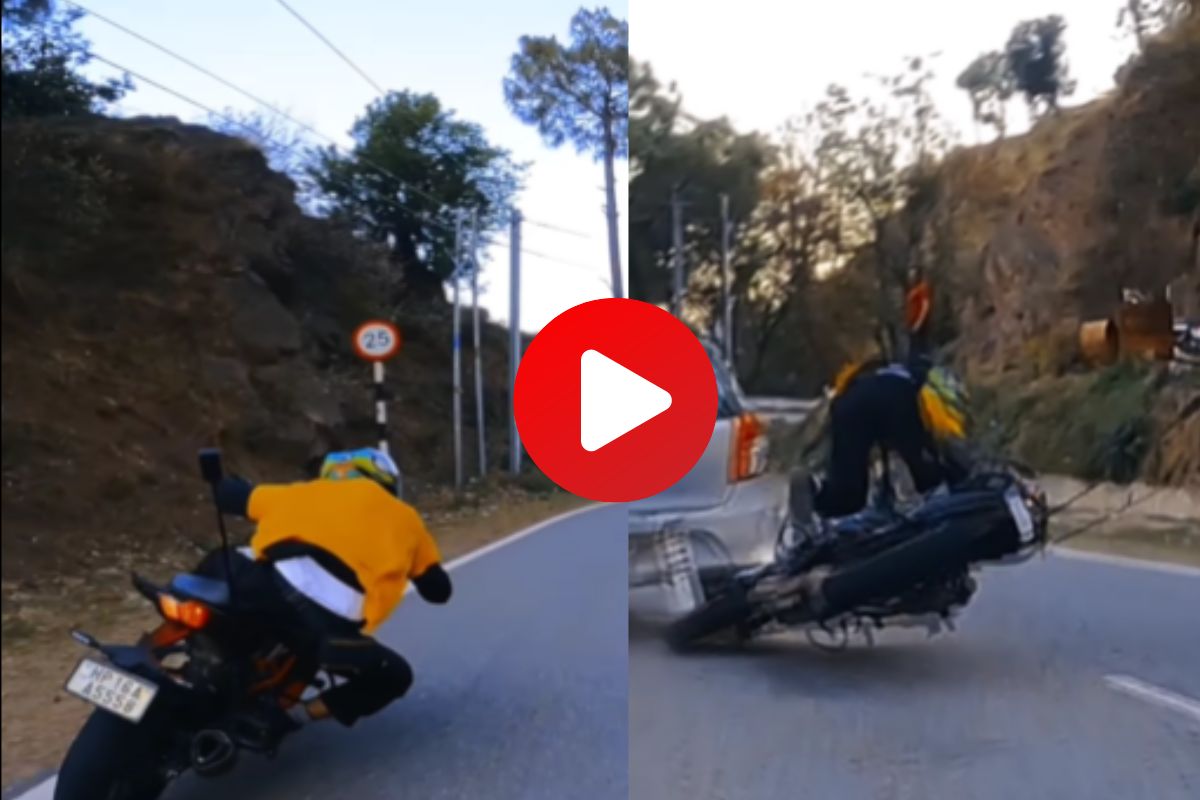 व्हायरल व्हिडीओ