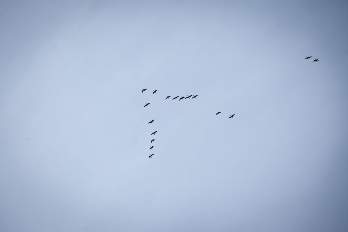 प्रतिकात्मक फोटो