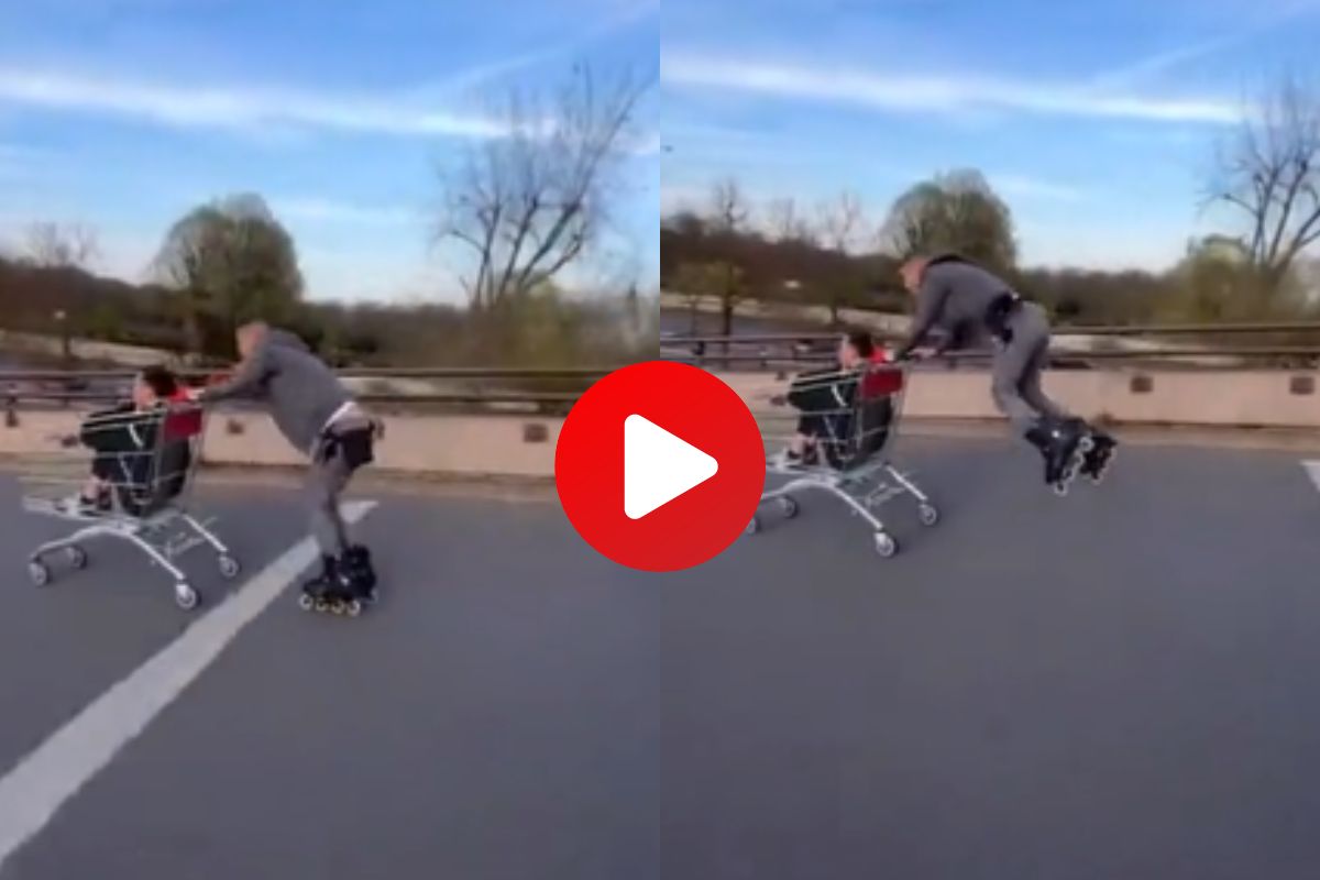 व्हायरल व्हिडीओ