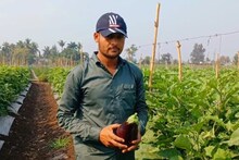 ऊस लागवडीला फाटा देत शेतकऱ्यानं राबवला नवा प्रयोग, पाहा कसा झाला मालामाल? Photos