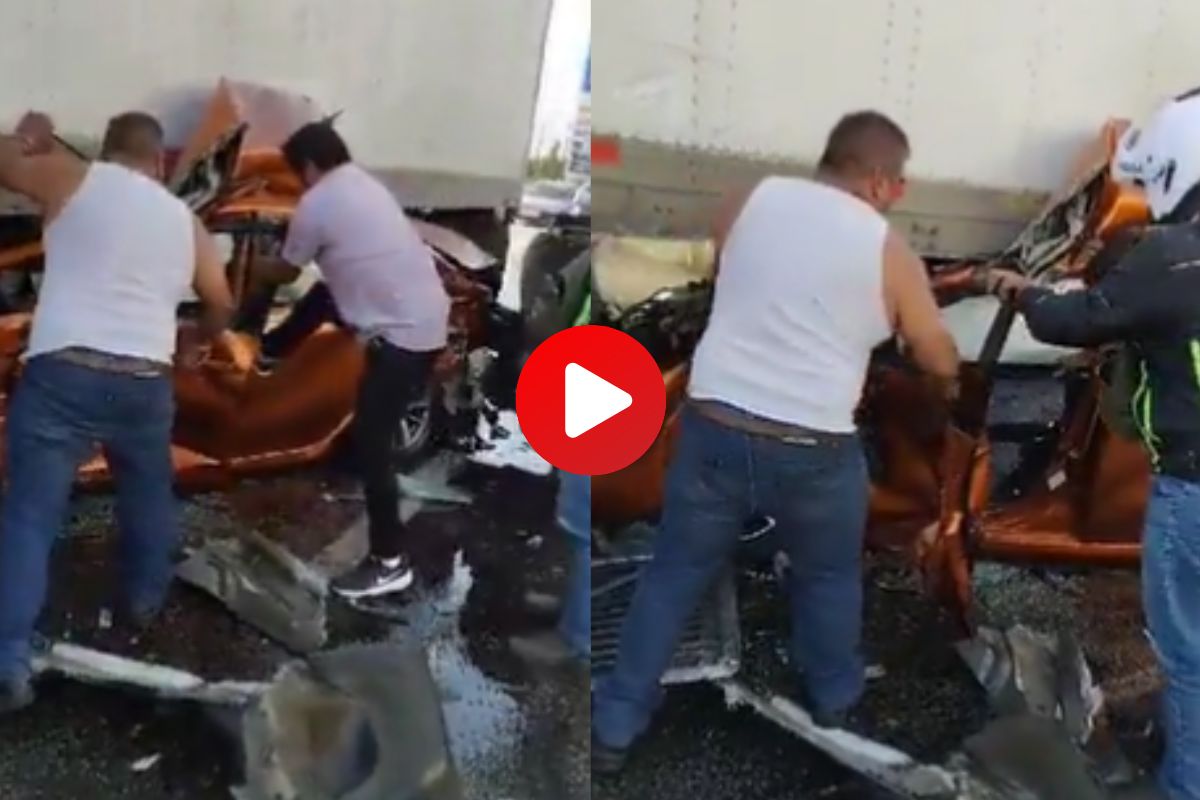 व्हायरल व्हिडीओ