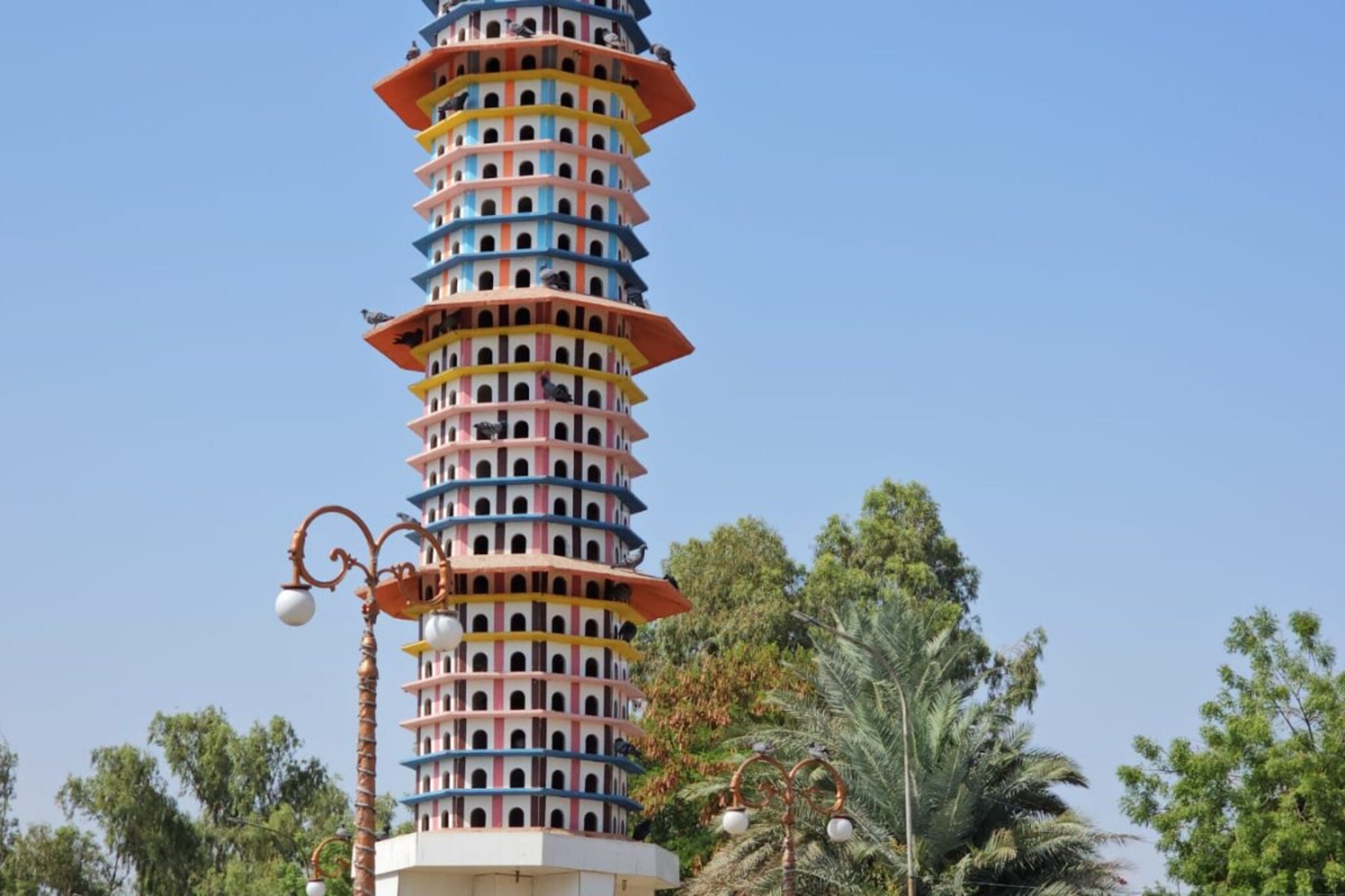 काय सांगता! चक्क पक्ष्यांसाठी 6 मजली फ्लॅट; हजारो पक्षी जोडीने राहतात पाहा PHOTO