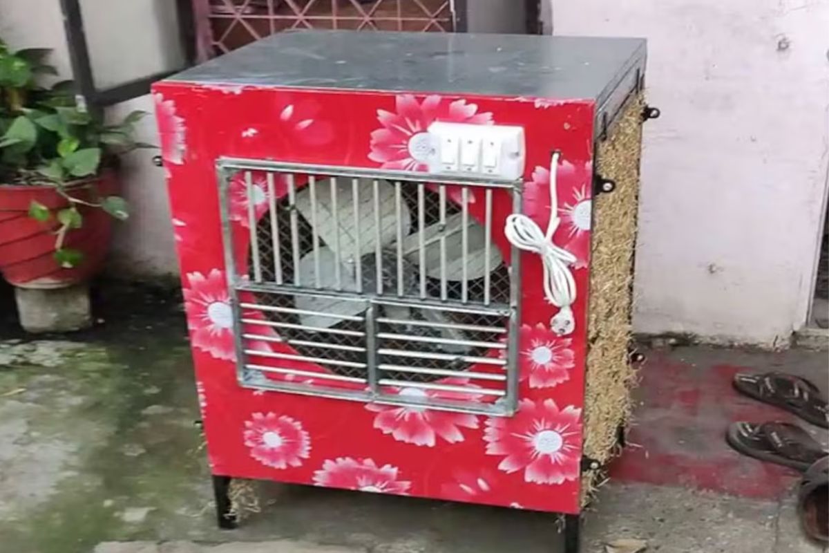 जुना कुलर देईल महाबळेश्वरसारखी थंडी; आजच करा हे छोटे बदल, AC देखील होईल फेल!