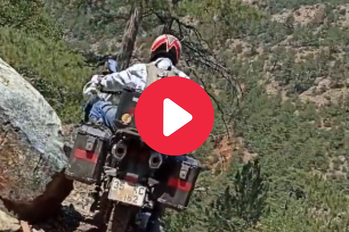 दुचाकीस्वारासोबत घडलं भयानक