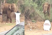 गजराजासमोर नतमस्तक झाली व्यक्ती, पण हत्ती चवताळला अन्...; थरकाप उडवणारा VIDEO