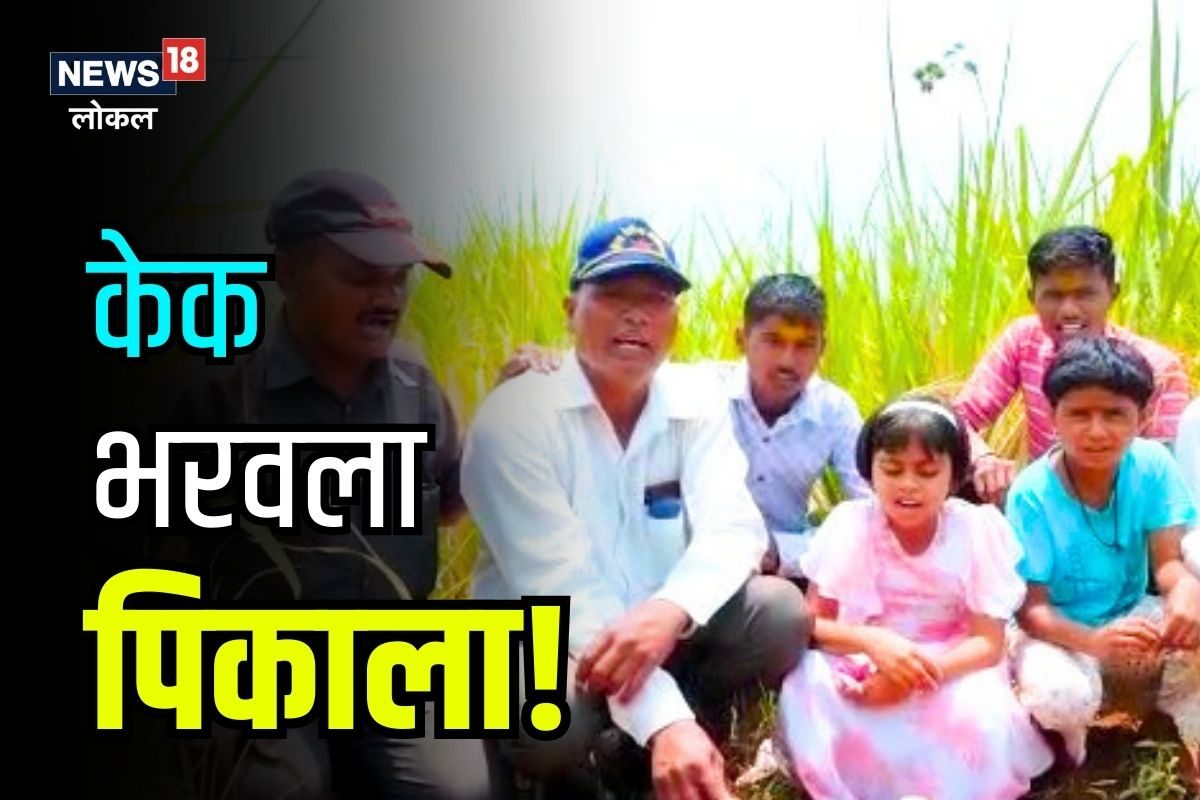 शेतकऱ्याचा नादच खुळा! शेतातच कापला केक आणि भरवला पिकाला, पाहा काय आहे कारण Video