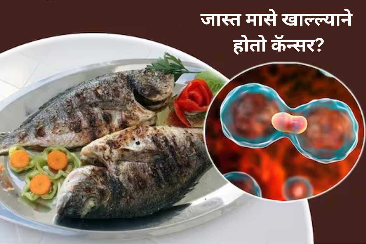 जास्त मासे खाल्ल्याने वाढतो कॅन्सरचा धोका?
