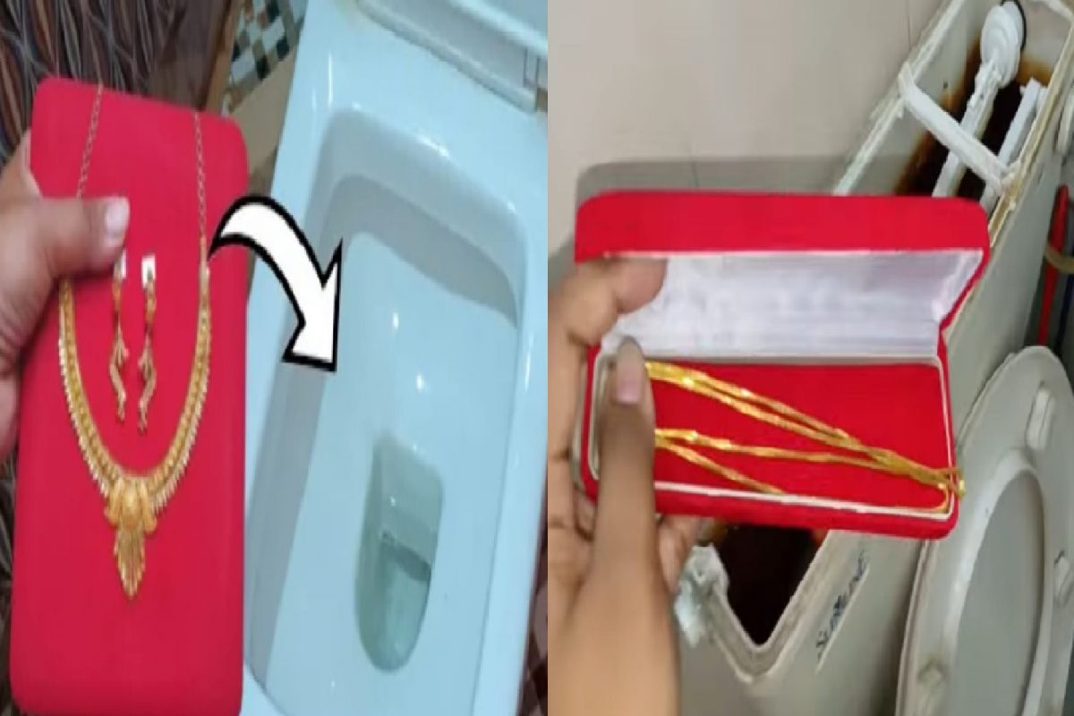 फोटो सौजन्य - युट्यूब व्हिडीओ स्क्रिनशॉट