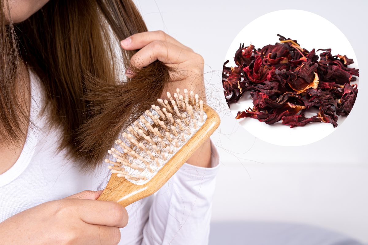 या तीन पद्धतीने केसांवर वापरा हिबिस्कसचे फुल