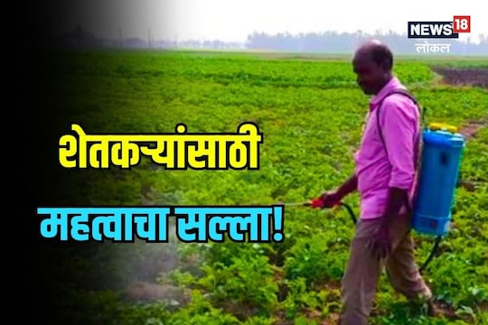 बदलत्या हवामानात 'या' पद्धतीनं घ्या पिकांची काळजी! पाहा कृषी विभागाचा सल्ला Video