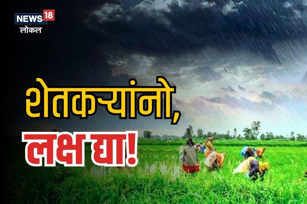 3 दिवस महत्वाचे! हवामान खात्याने दिला इशारा, अशी घ्या पिकांची काळजी