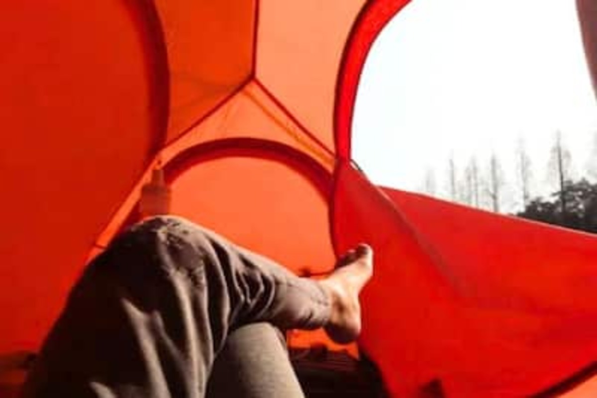 कॉर्पोरेट कल्चरला कंटाळून सोडली चांगल्या पगाराची नोकरी, आता तंबूमध्ये राहून आराम करतोय तरुण