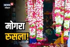 ऐन लग्नसराईत मोगरा रुसला! विक्रेते झाले हैराण, पाहा काय आहे कारण?