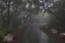 Weather Update : मराठवाड्यात वादळी वाऱ्यासह पावसाचा इशारा