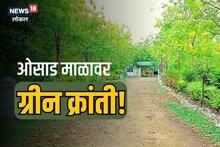 Wardha News: …and the barren landscape changed!  See how 'Green Revolution' happened, Video