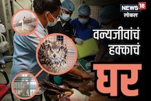 Nagpur News: बिबट्यापासून ते हरण, 5 हजारांहून अधिक प्राण्यांचा वाचवला जीव, असं हे ट्रिटमेंट सेंटर, VIDEO