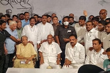 '...तर NCPला चांगले दिवस आले असते', कार्याध्यक्षपदासाठी BJPने सांगितली दोन नावं!