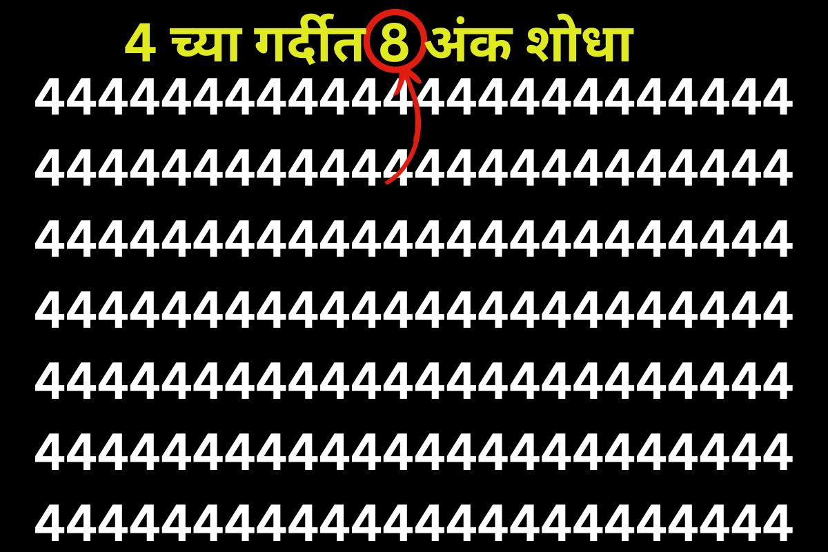 ऑप्टीकल इल्यूजन फोटो