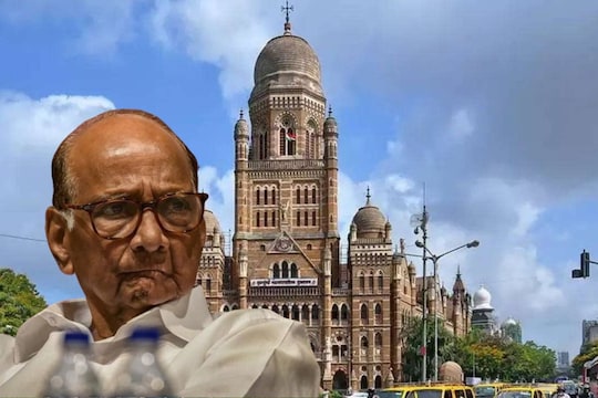 महाविकासआघाडीचा मुंबई महापालिकेसाठी वेगळा प्लान? शरद पवारांचे संकेत