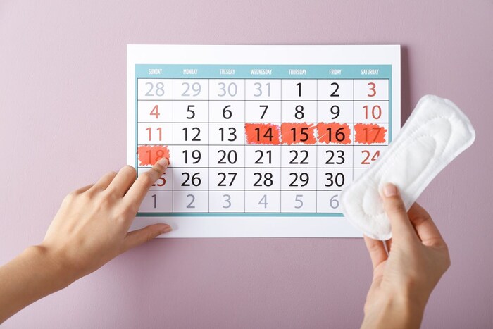 मासिक पाळीची सुटी मिळाल्यास स्त्रिया या कठीण काळात त्यांच्या आरोग्याला प्राधान्य देऊ शकतात आणि विश्रांती घेऊन स्वतःची काळजी घेऊ शकतात. यामुळे नंतर त्यांची काम करण्याची क्षमता वाढेल.