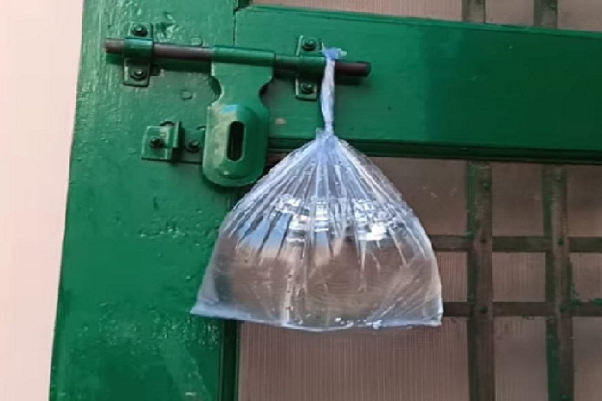 फोटो सौजन्य (यूट्युब व्हिडीओ स्क्रिनशॉट)