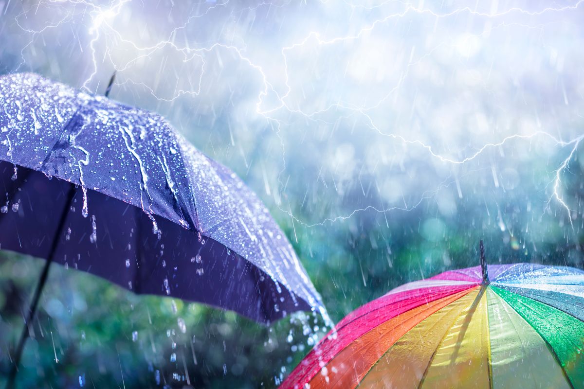 राज्यातील आजचं हवामान