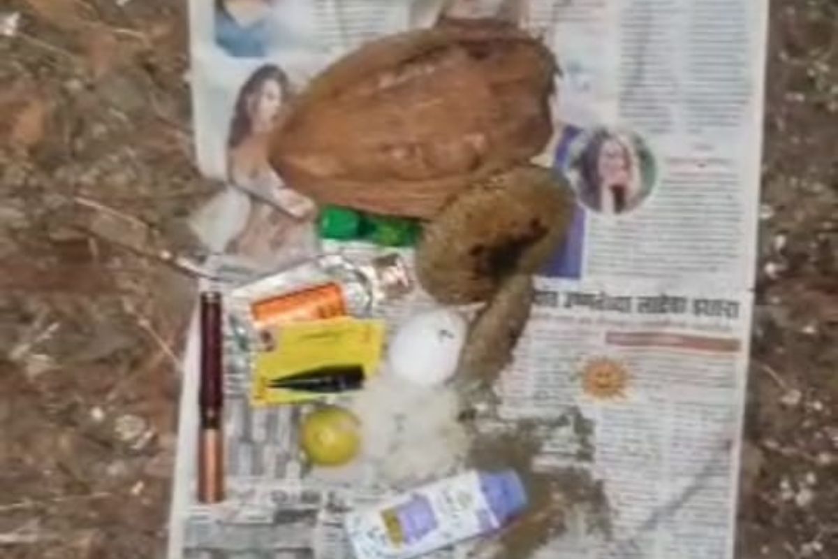 बोकड रस्त्यात कापलं, अघोरी साहित्यही ठेवलं, सांगलीतली खळबळजनक घटना