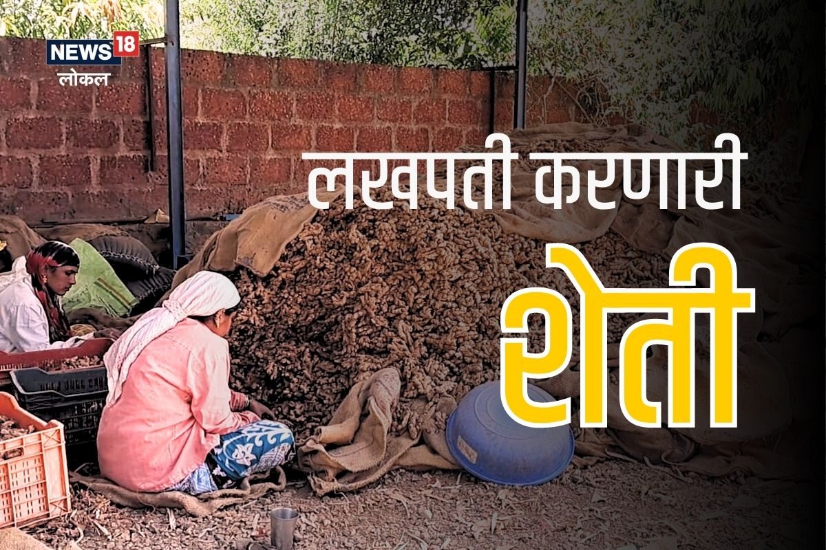 सांगलीच्या शेतकऱ्यांनी लखपती होण्याचा नवा मार्ग शोधलाय.